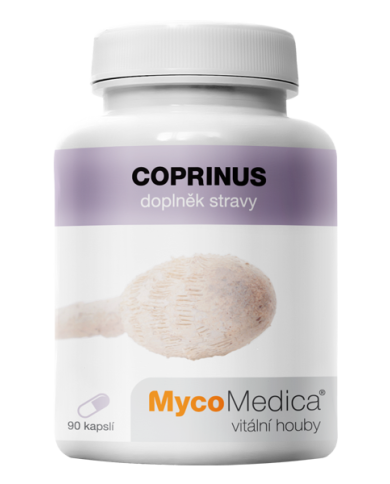 Coprinus