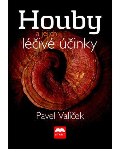 Houby a jejich léčivé účinky