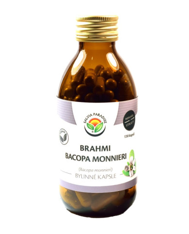 Brahmi - Bacopa monnieri kapsle