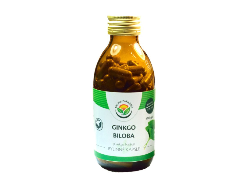 Ginkgo biloba - Jinan kapsle