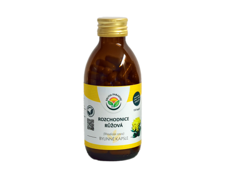 Rozchodnice růžová - Rhodiola kapsle