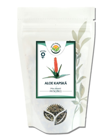 Aloe kapská - pryskyřice