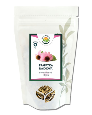 Echinacea - třapatka kořen