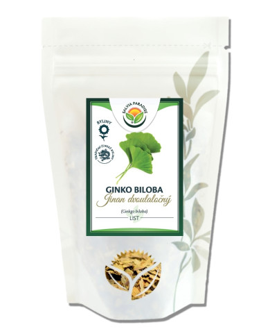 Ginko biloba list