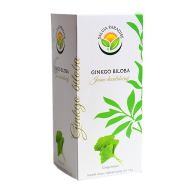 Ginkgo biloba n. s. 20 x 1.5 g