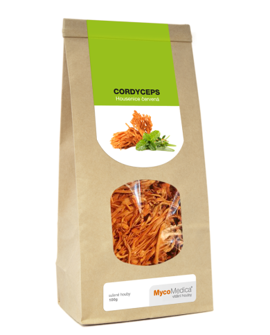 Cordyceps sušený