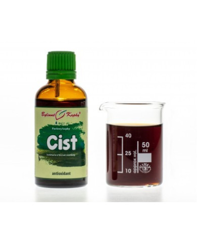 Cist (růže cistová) - bylinné kapky (tinktura) 50 ml