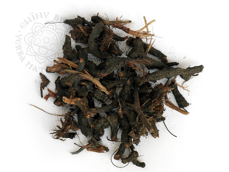NAGARMOTHA