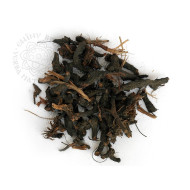 NAGARMOTHA