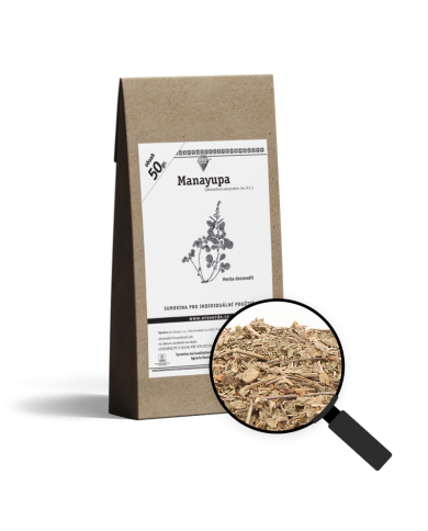 Manayupa