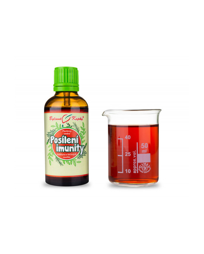 Posílení imunity (Netopýr 2) - bylinné kapky (tinktura) 50 ml