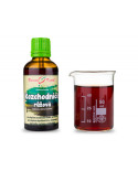 Rhodiola (rozchodnice) (TCM) - bylinné kapky (tinktura) 50 ml