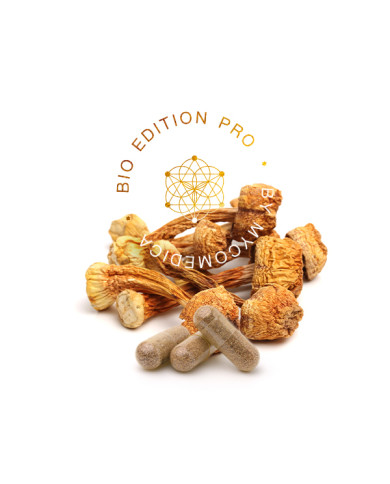 MycoMedica Agaricus PRO 90 kapslí