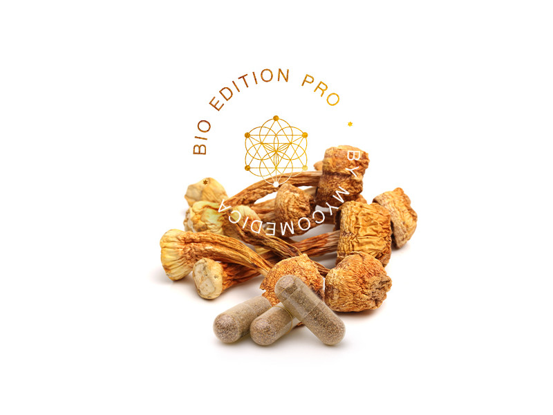 MycoMedica Agaricus PRO 90 kapslí