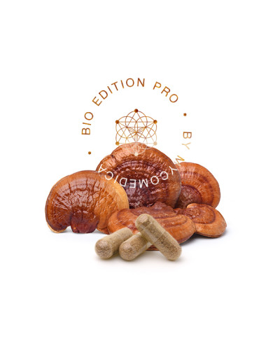 MycoMedica Reishi PRO 90 kapslí