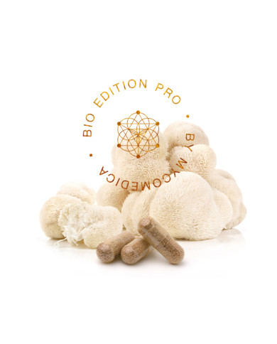 MycoMedica Hericium PRO 90 kapslí