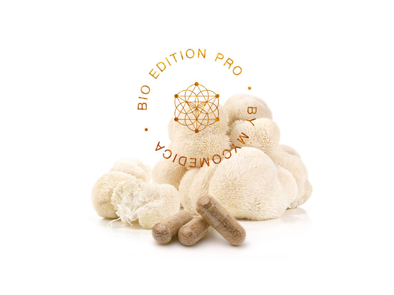 MycoMedica Hericium PRO 90 kapslí