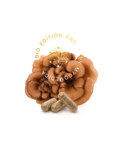 MycoMedica Maitake PRO 90 kapslí