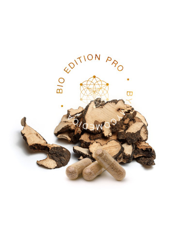MycoMedica Polyporus PRO 90 kapslí