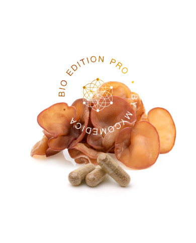MycoMedica Auricularia PRO 90 kapslí