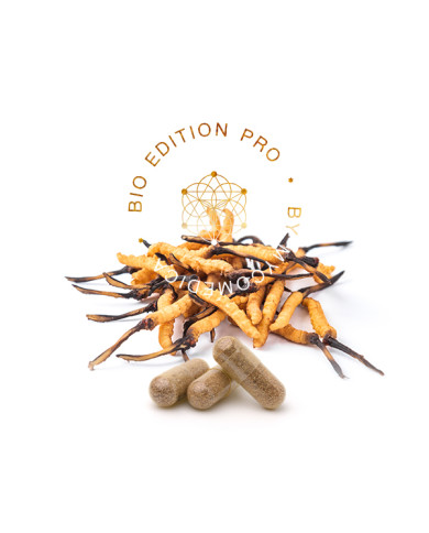MycoMedica Cordyceps PRO 90 kapslí