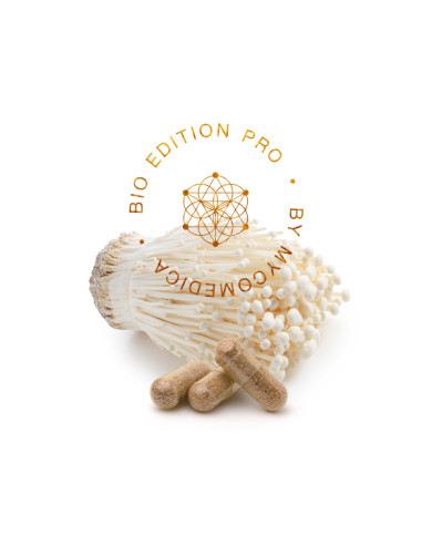 MycoMedica Enoki PRO 90 kapslí