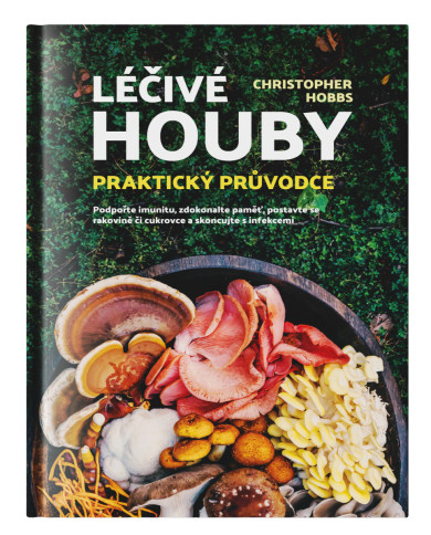 Léčivé houby - praktický průvodce