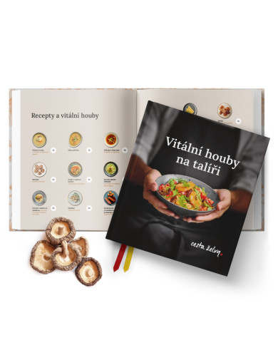 Vitální houby na talíři