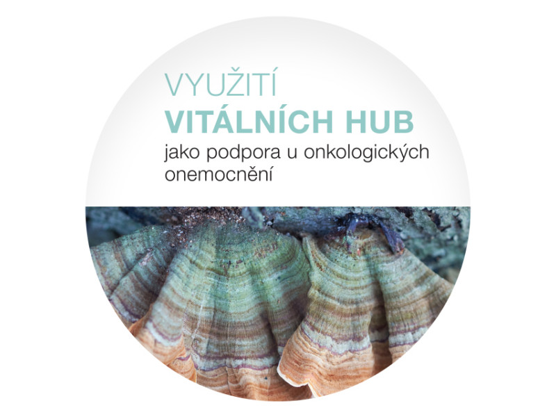 Využití vitálních hub jako podpora u onkologických onemocnění