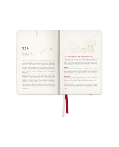 Diář Cesta Želvy Diář Cesta Želvy