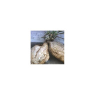 KUDZU ROOT EXTRAKT 80G