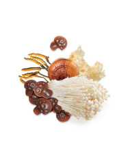 Sladkosti a bonbóny